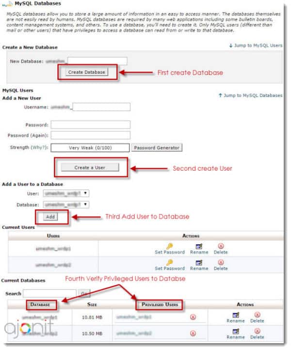 Database creation in cPanel