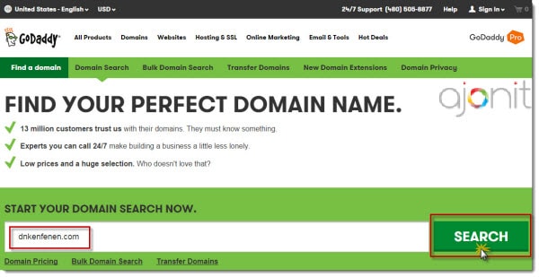 Search your domain name